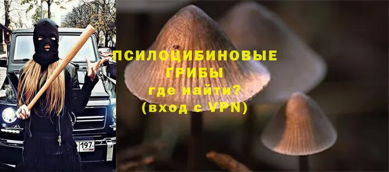 Галлюциногенные грибы GOLDEN TEACHER  Ставрополь 